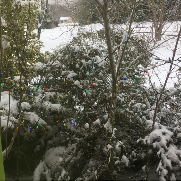 @reowning.vintage Show listing DAYTIME hit ❤️if you want to know and be notified - Picture 5 of 7